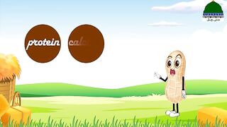 Pienet@islamic$cartoon