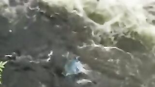 Catching fish