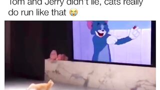 Best  of fun