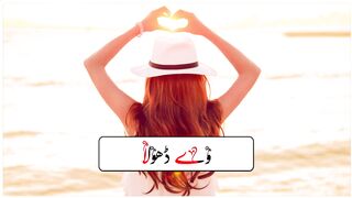 Way Dhola Siyana Thewain Haa Sad Saraiki Song Whatsapp Status Tiktok Saraiki Urdu