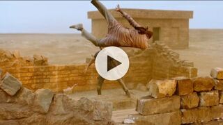 Full Action Film India