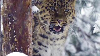 One Day When I grow up to be Big and Strong !