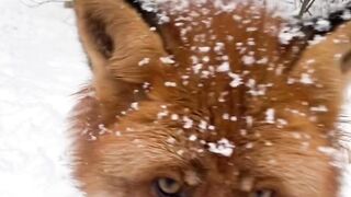 Winter is here