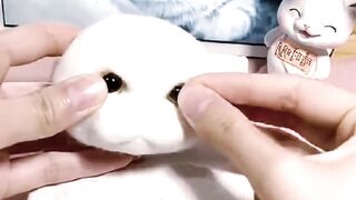 Creation of cat