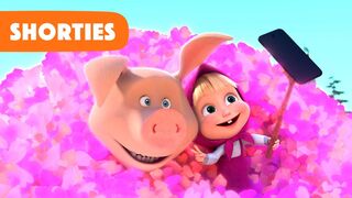 Masha and the Bear Shorties | NEW STORY | Selfie (Episode 10)