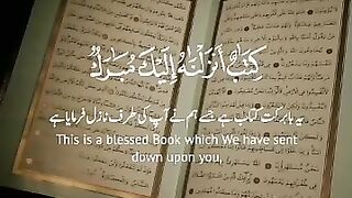 ????️اسلام صبحی????