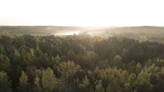 "Exploring Nature: A Personal Journey into Our Environment"