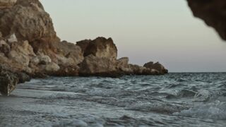 "Understanding Nature: Exploring the Beauty of Our Environment"