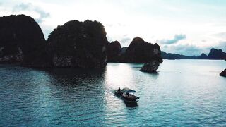 "Nature's Palette: Exploring the Essence of Our Environment"