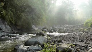 "Nature's Realm: Exploring Earth's Beauty"