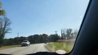 A Trip To Nashville Indiana USA