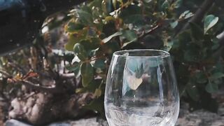NATURE 167