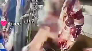????The meat is still alive????????????????????