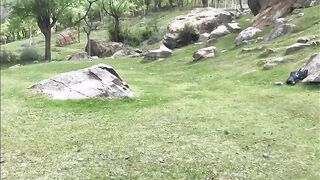 Skerdu