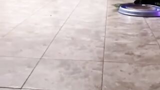 Funny animal videos|Cute animal videos |Funny dog&cat videos|Hilarious pet videos|funny video