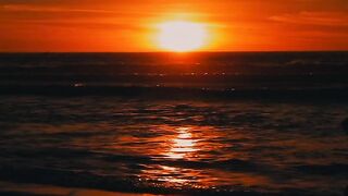 NATURE 170
