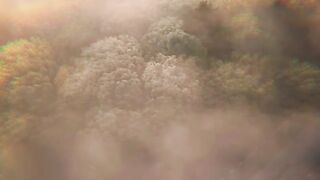 Reel video song