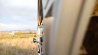 Lion acts like a cat