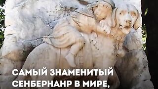 НАЙ - ИЗВЕСТНИЯ САН БЕРНАР