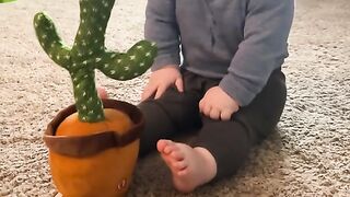 Funny video clip