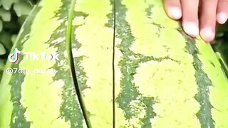 السيره النبويه الشريفه 4