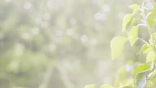 Short video songs