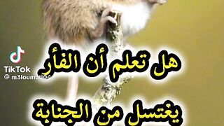 هل تعلم