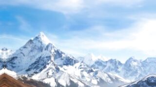 Faunal diversity in Himalayas