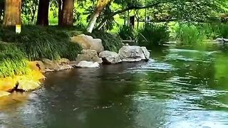 as belezas  naturais