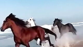 TikTok video