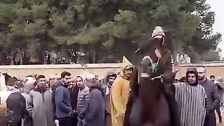ركوب الفرس بحاجة إلى تدريب