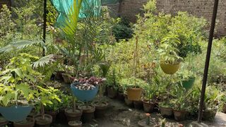 Beautiful nursery near my house ????❤️