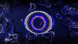 Elite-Global Eye