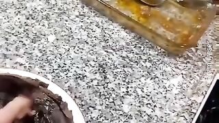 funny video funny memes comedy video funny fails funny video 2023