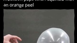 The balloon pops when you sprinkle it with orange peel