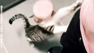 #funny #cat #dog #animals (29)