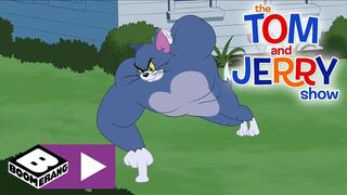 The Tom and Jerry
