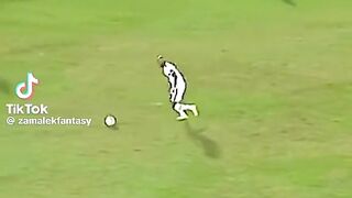 Shika skills