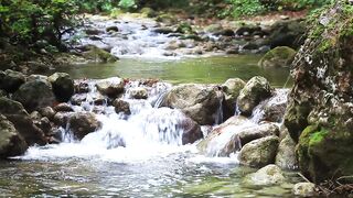 Little rocky river in the woods - Adalinetv