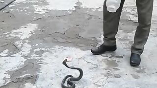 India is also not for Experts!