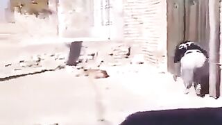 Hihhhhhhh