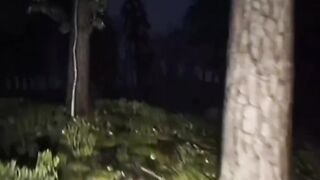 Horror Attack Movie ????