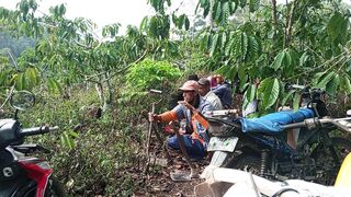 Working