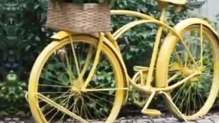 Yellow ???? image