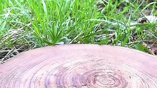 Cooking kebab in nature