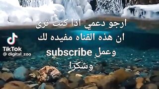 لطفا وليس أمر