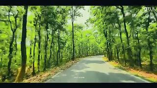 Feel the difference view