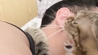 Animal  funny video