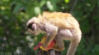 #beautiful wild life#