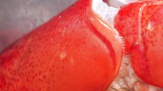 Vietnamese street food Alaska lobster delicious